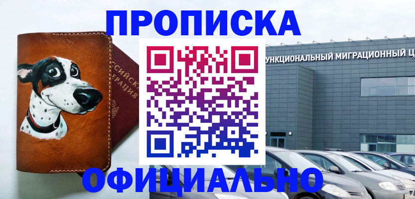временная прописка в Новомосковске